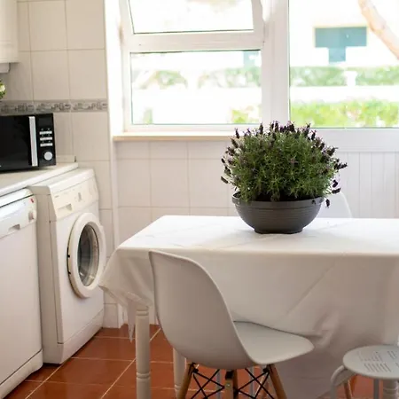 Pool&garden Village-near