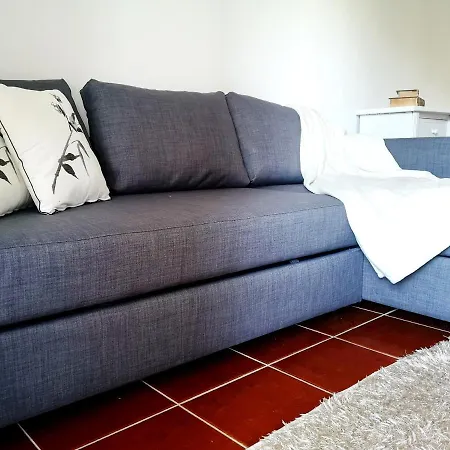 Pool And Garden Village-near