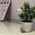 Pool And Garden Village-near * 阿尔布费拉